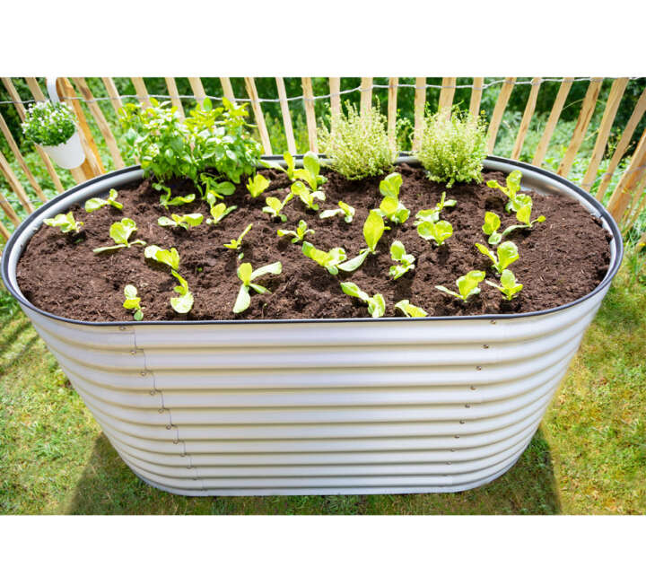 WESTMANN Hochbeet Grow Faster